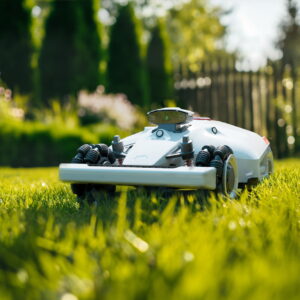 luba2-mowing
