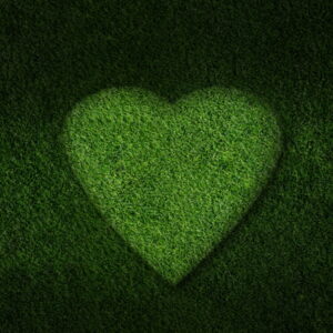 lawn-printing lawn-printing
